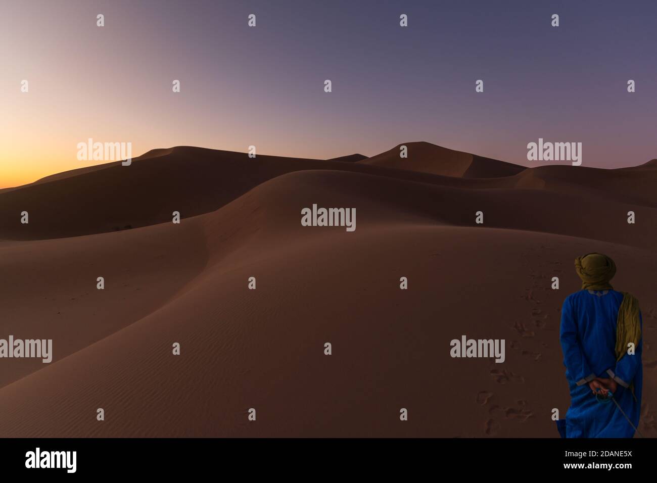 Unrecognizable Berber man walking on a dreamy desert at Twilight of dawn. Desert dune of Erg Chigaga, at the gates of the Sahara. Morocco. Concept of Stock Photo