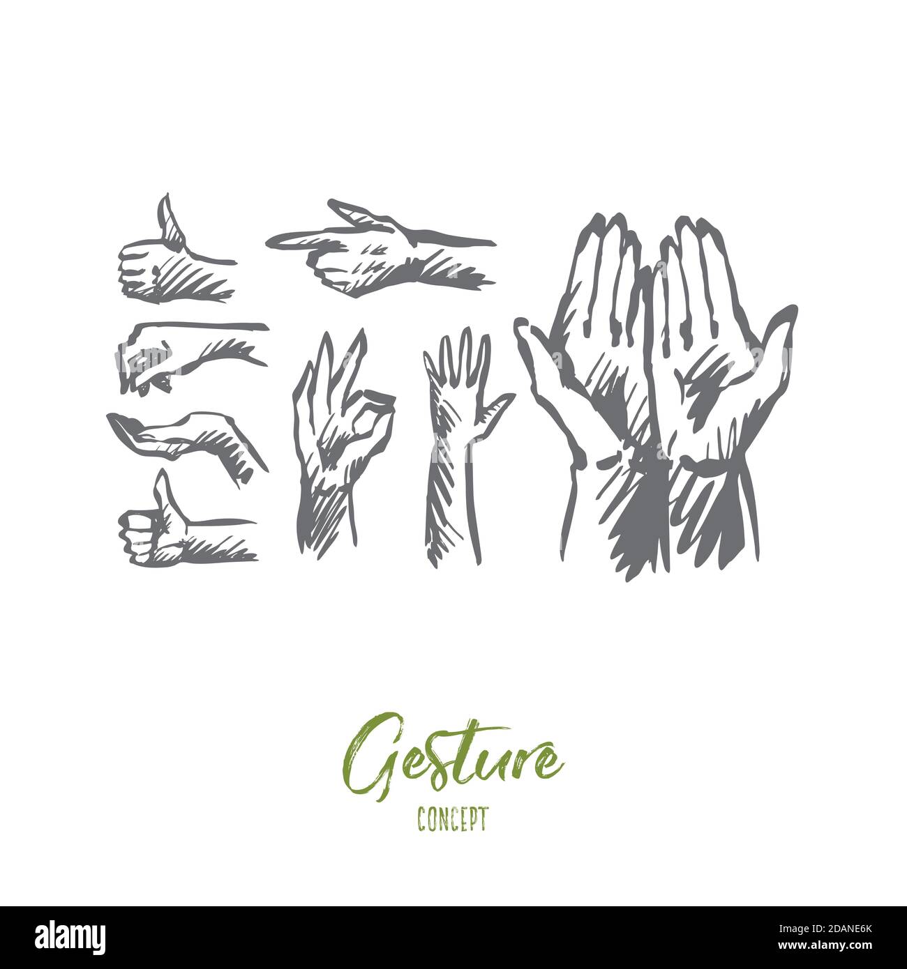 Hand, palm, human, finger, gesture concept. Hand drawn isolated vector. Stock Vector