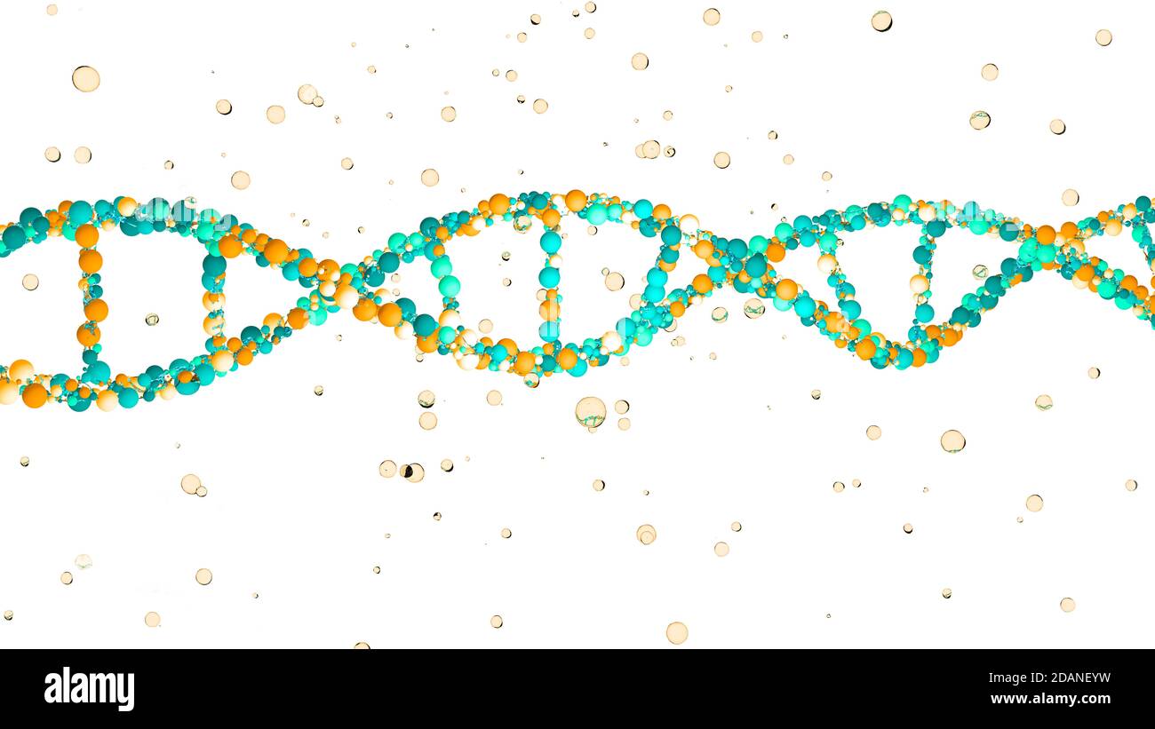 Thread like structure hires stock photography and images Alamy