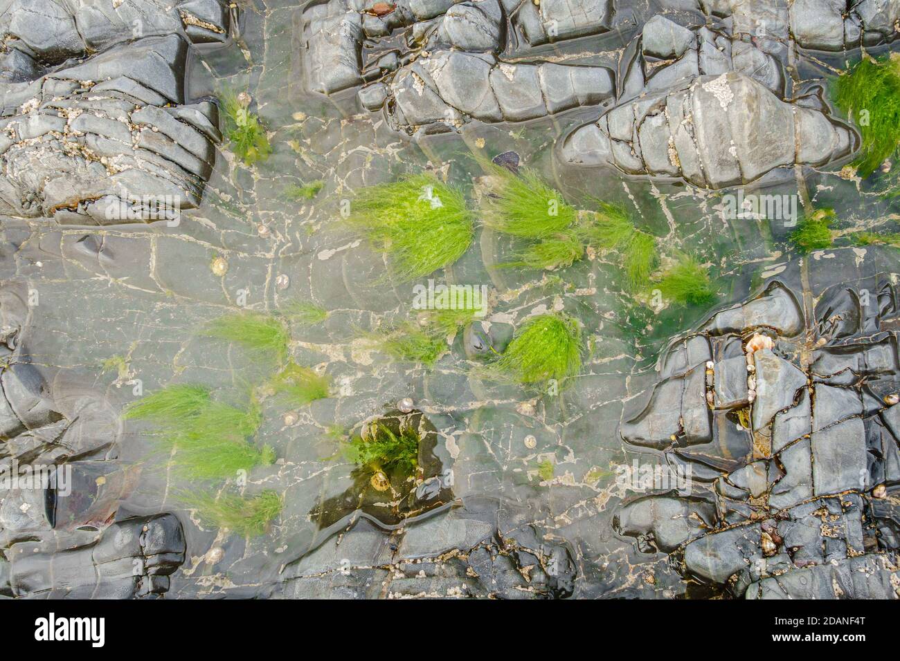 background texture of a beach stone rocks Stock Photo - Alamy