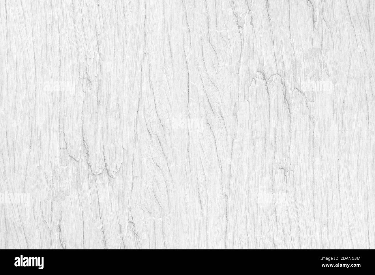 White wooden plank texture background. soft wood surface for decor or ...