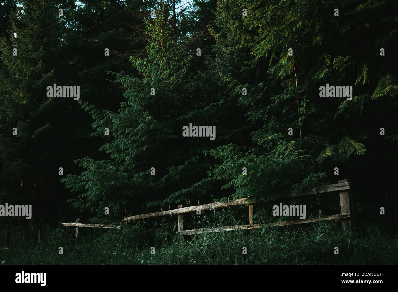 wooden fence in the forest Stock Photo - Alamy