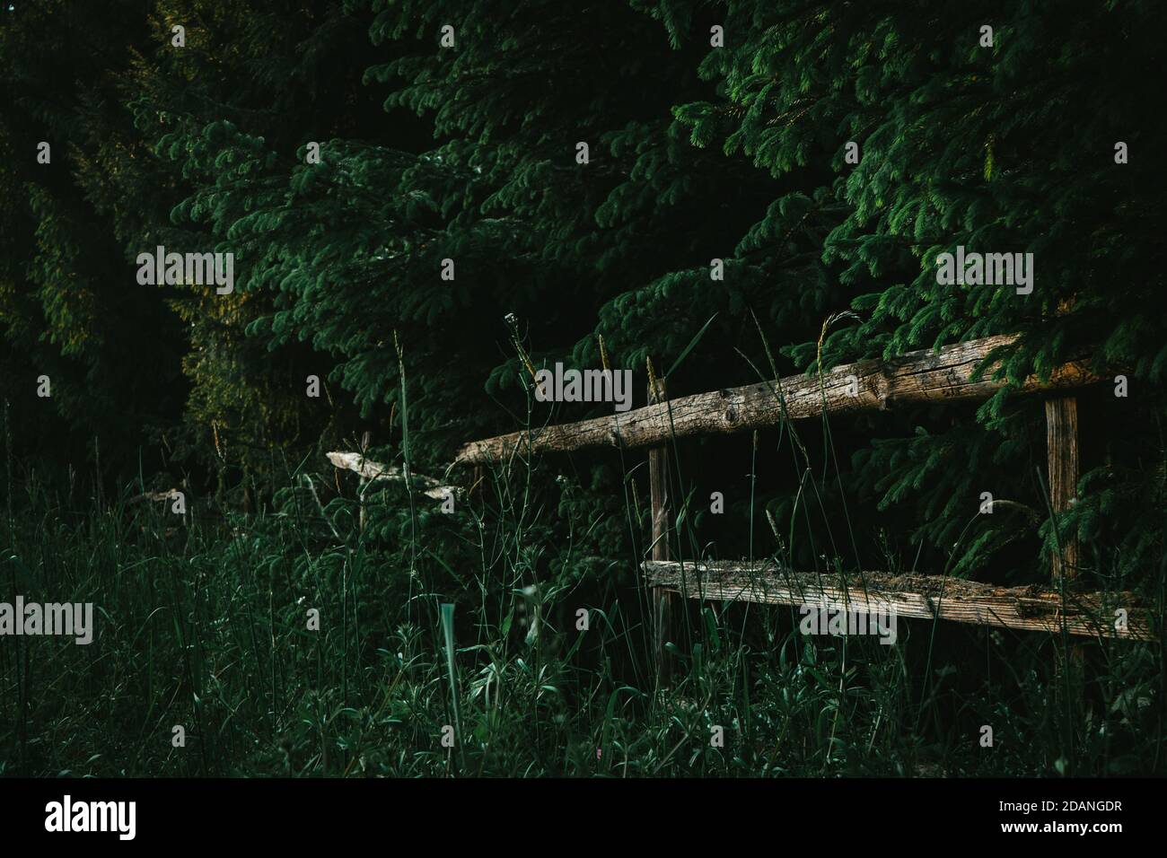 wooden fence in the forest Stock Photo - Alamy