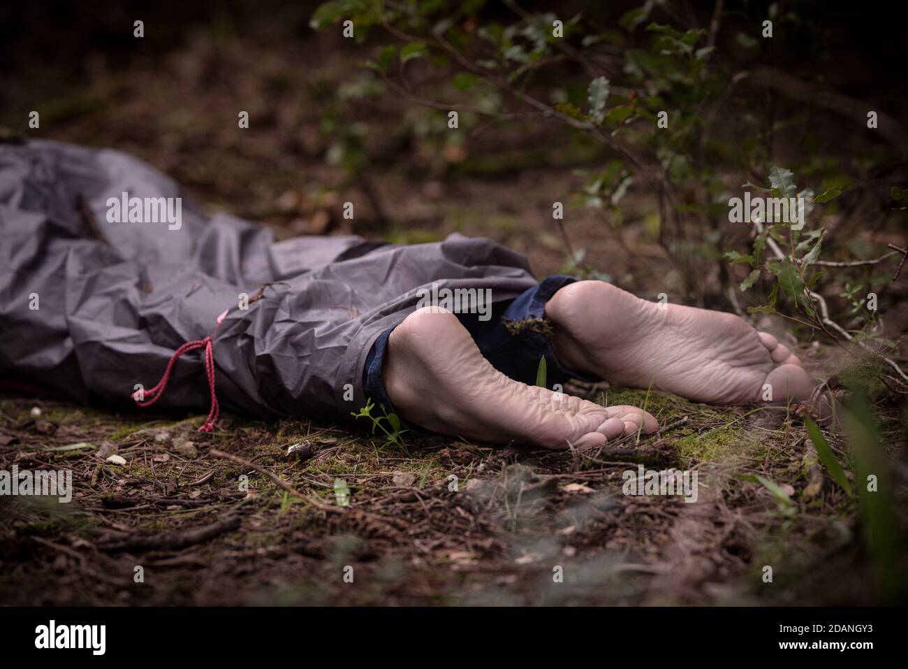 Barefoot dead body in the woods. Murder victim lying on the ground in the forest Stock Photo