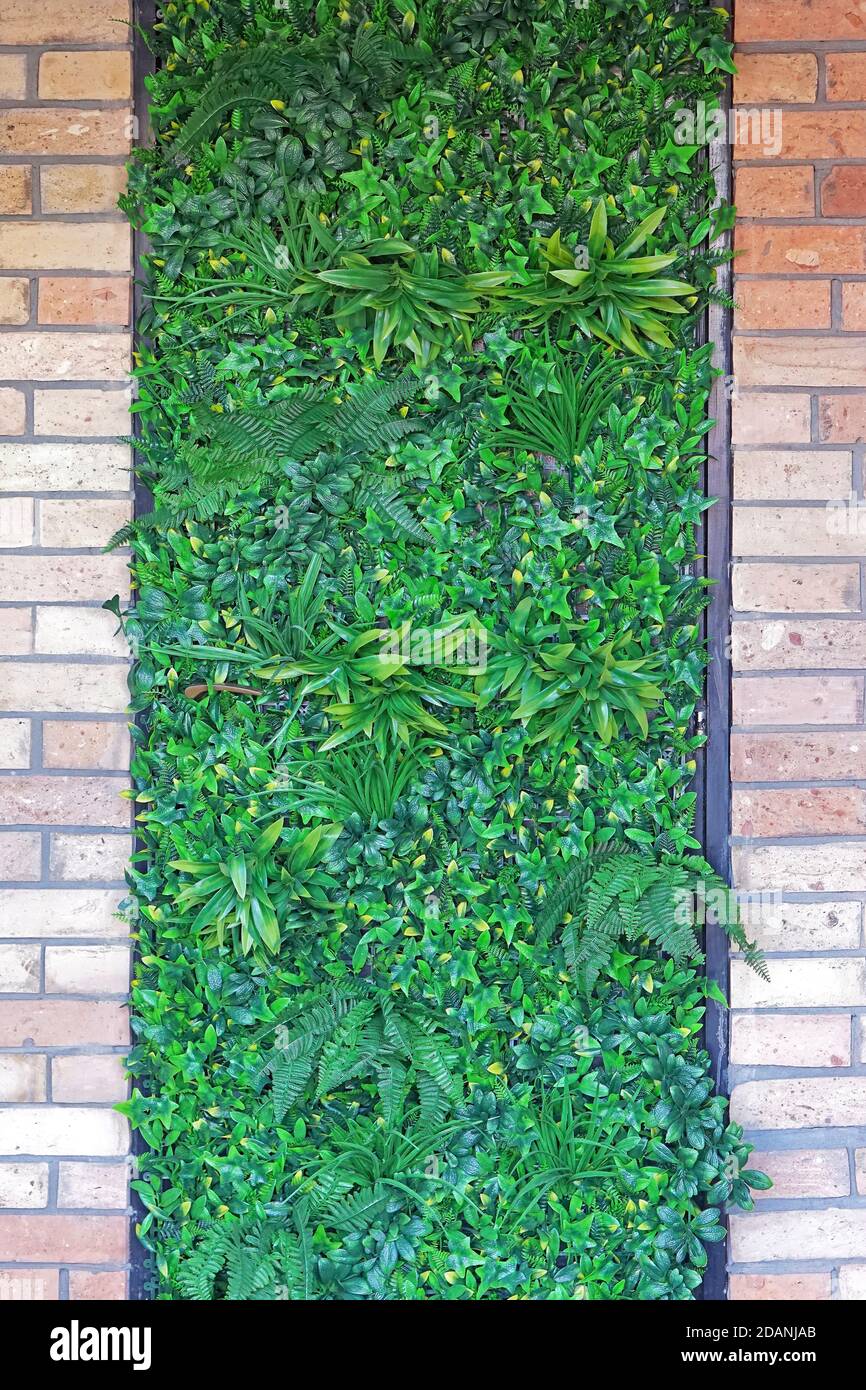 Vertical green garden artificial plants plastic foliage Stock Photo Alamy