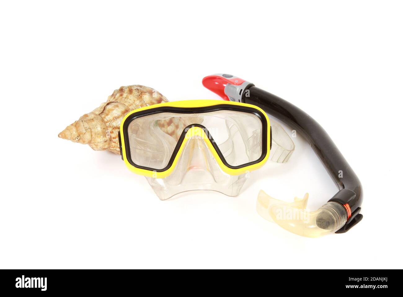 Snorkel set and a seashell isolated on white background Stock Photo - Alamy