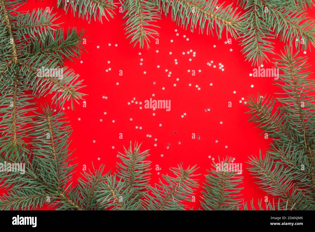 Branches of a Christmas tree on a red background with silver confetti ...
