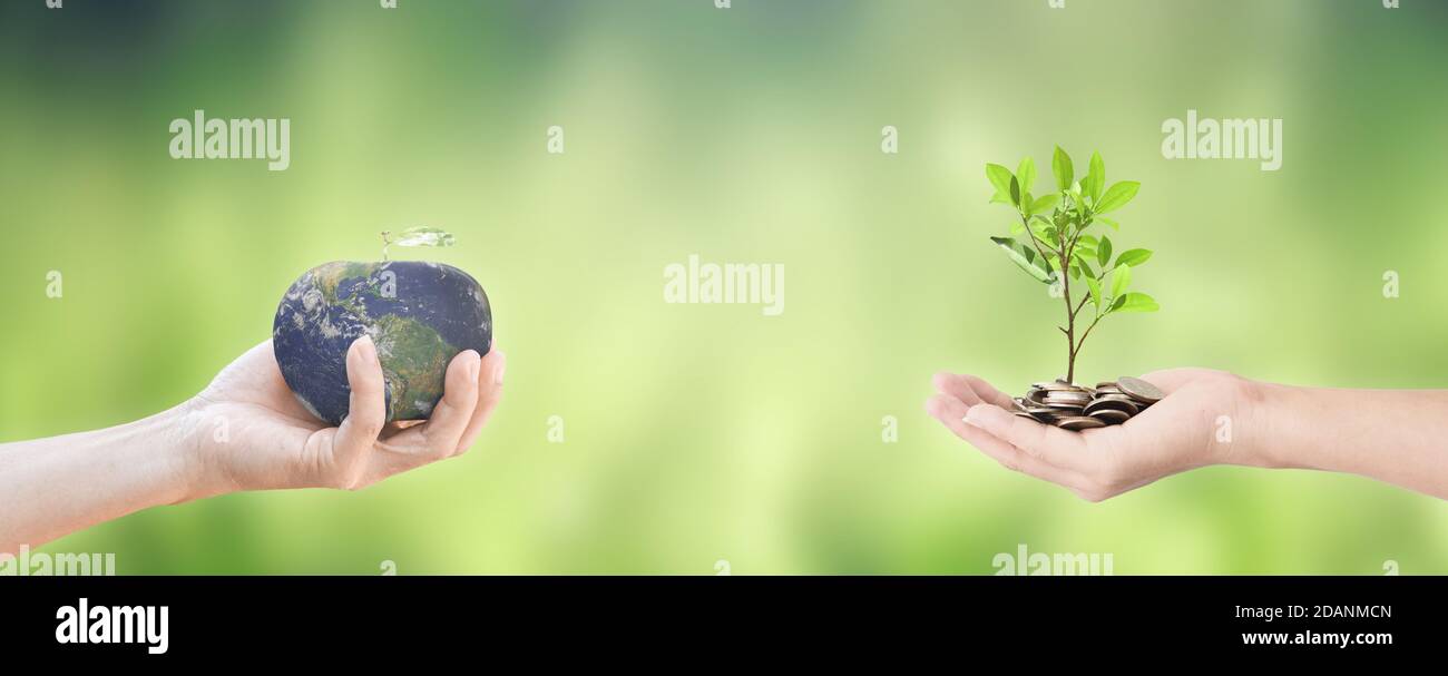 Do Flowers Give Off Oxygen