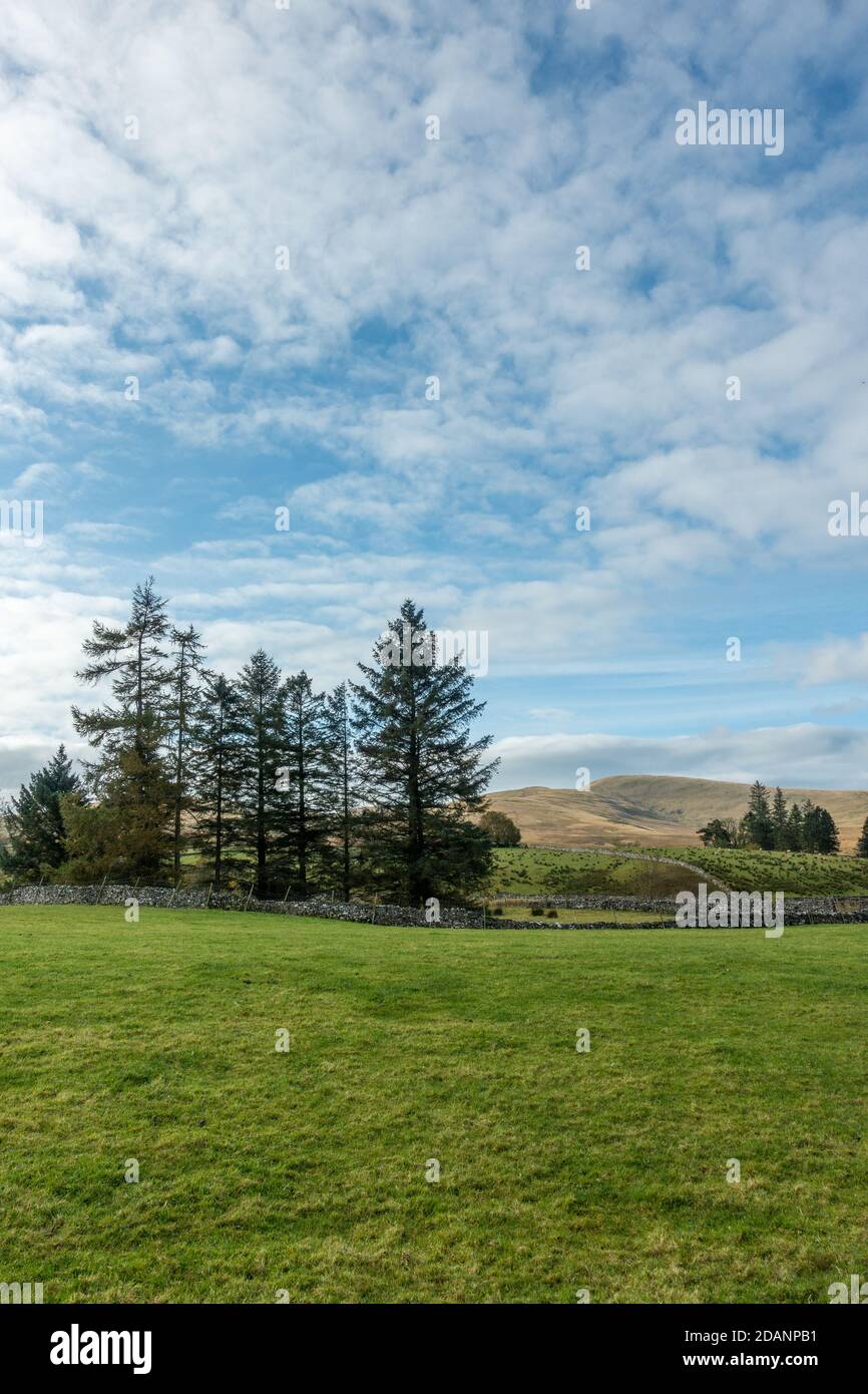 UK landscape: Cumbrian views of farmland in Ravenstonedale towards The Howgills mountains, Cumbria Stock Photo