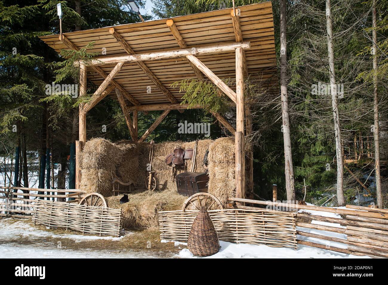 Stripped rural cat sleeping on the straw in a barn Stock Photo Alamy
