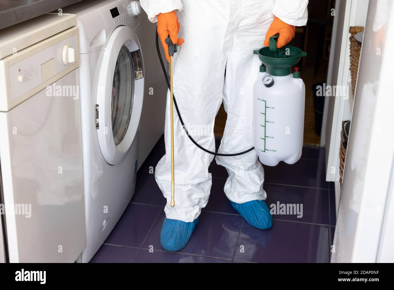 Pest control worker spraying insecticide with sprayer in the kitchen
