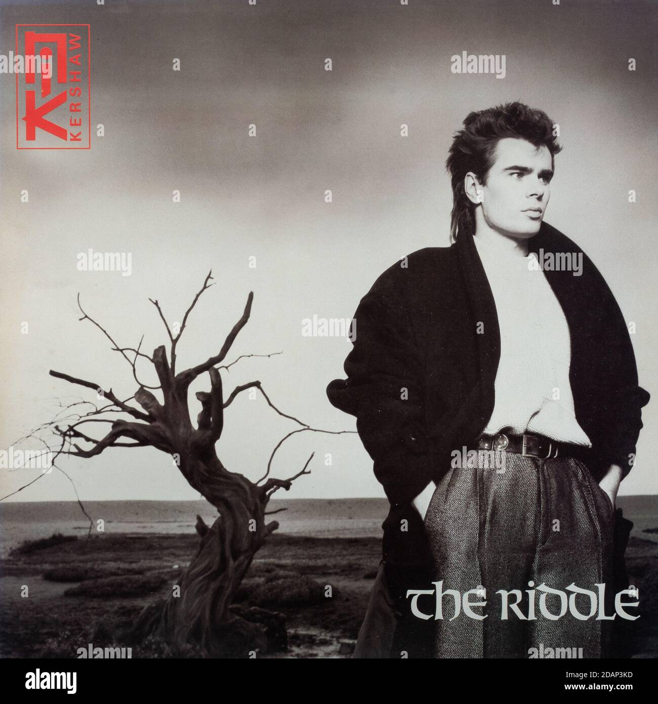 Nik Kershaw The Riddle, vinyl LP record album cover Stock Photo