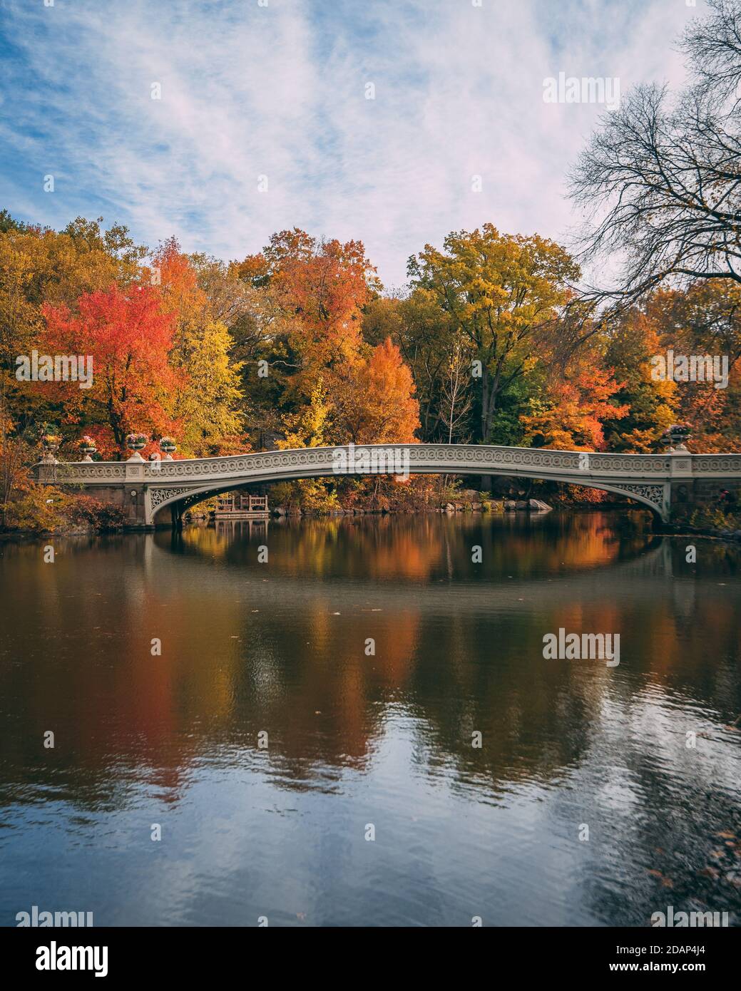 The Bow Bridge with autumn color, in Central Park, Manhattan, New York ...