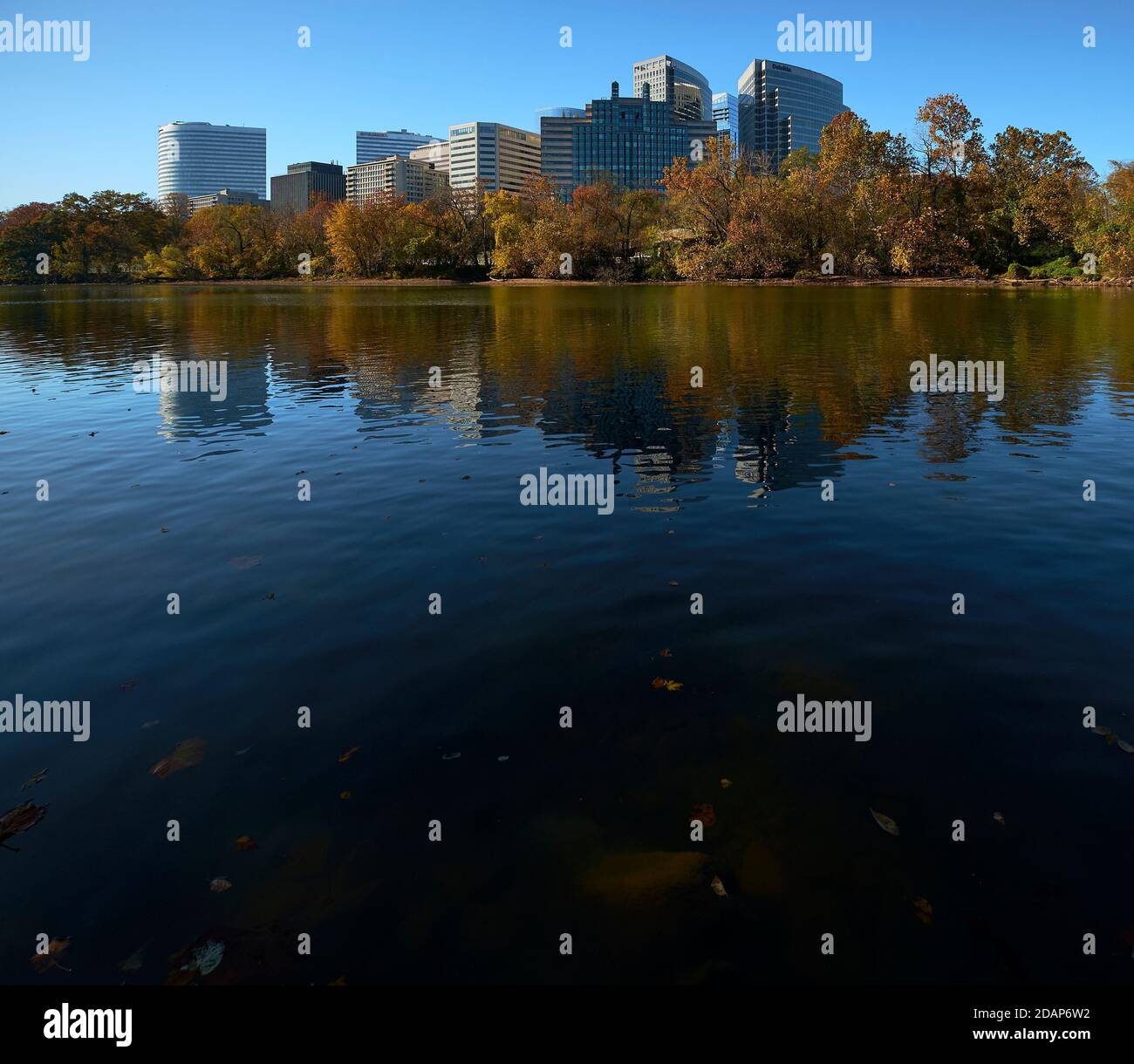 The view of the downtown Rosslyn skyline from across the Potomac river during fall, autumn with leaves changing. In Rosslyn, Arlington, Virginia. Stock Photo