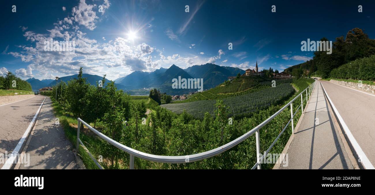 Wide-angle panorama view of the road from Schenna to Sankt Georgen with a view over the apple orchards in the light of the sun in South Tyrol in summe Stock Photo