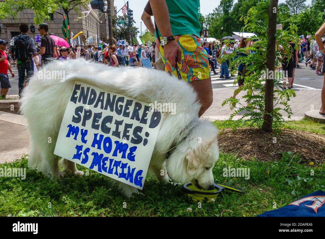 Protesters hold signs at climate change demonstration in Washington, DC, USA. Stock Photo