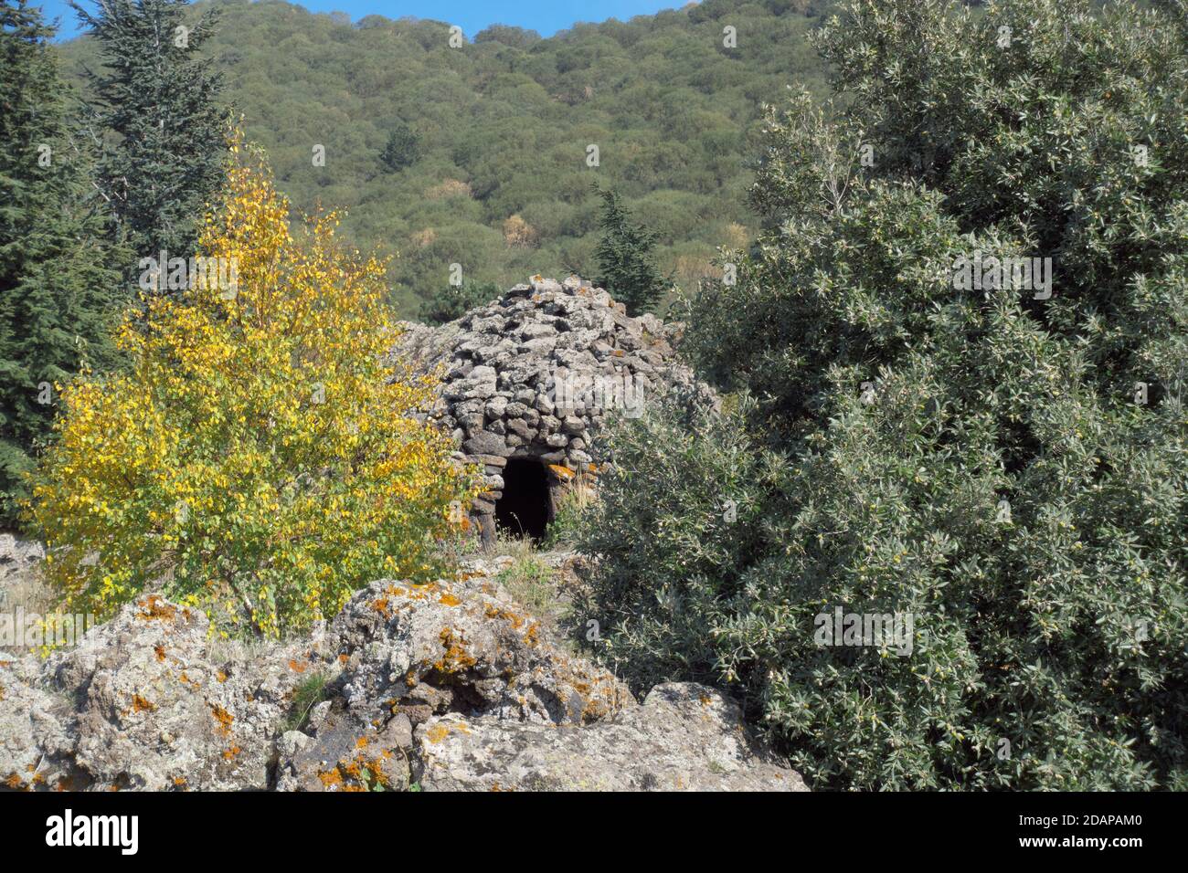 sheltered in the mixed forest in Etna Park you can see the dome of dry stones and the entrance to the traditional shepherd's shelter typical of the Si Stock Photo