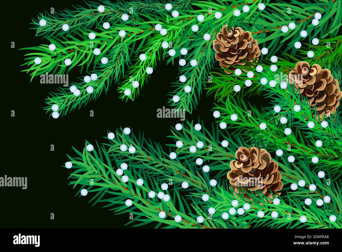 Vector collection of Christmas tree branches with pine cones