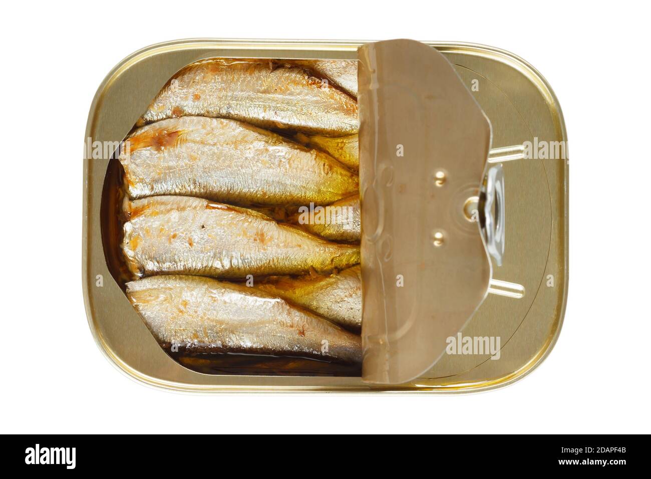 Tin of sardines isolated on a white background Stock Photo
