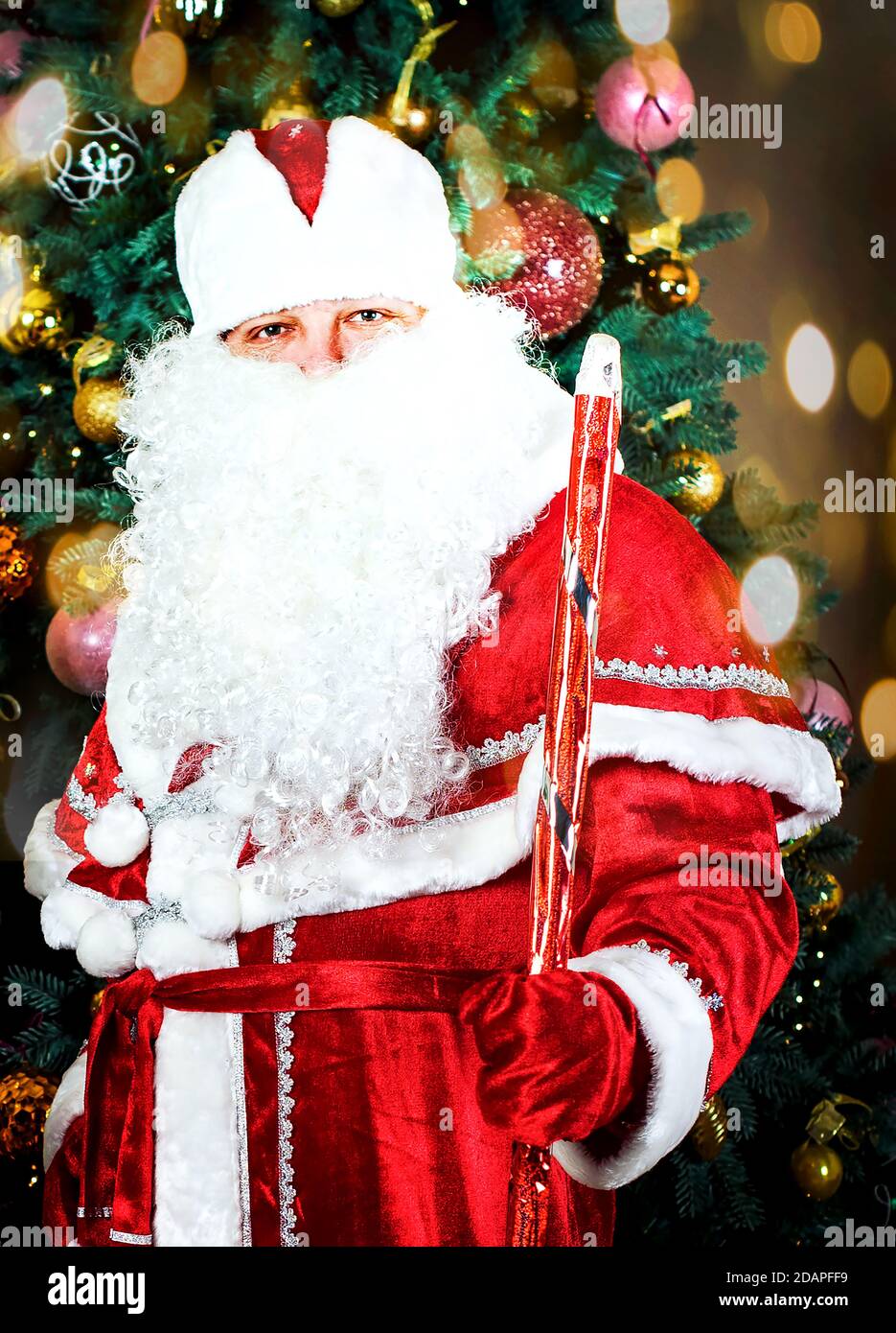 Santa Claus with a bag of gifts on the background of the Christmas tree. New year and Christmas celebrations. Russian holiday. Stock Photo