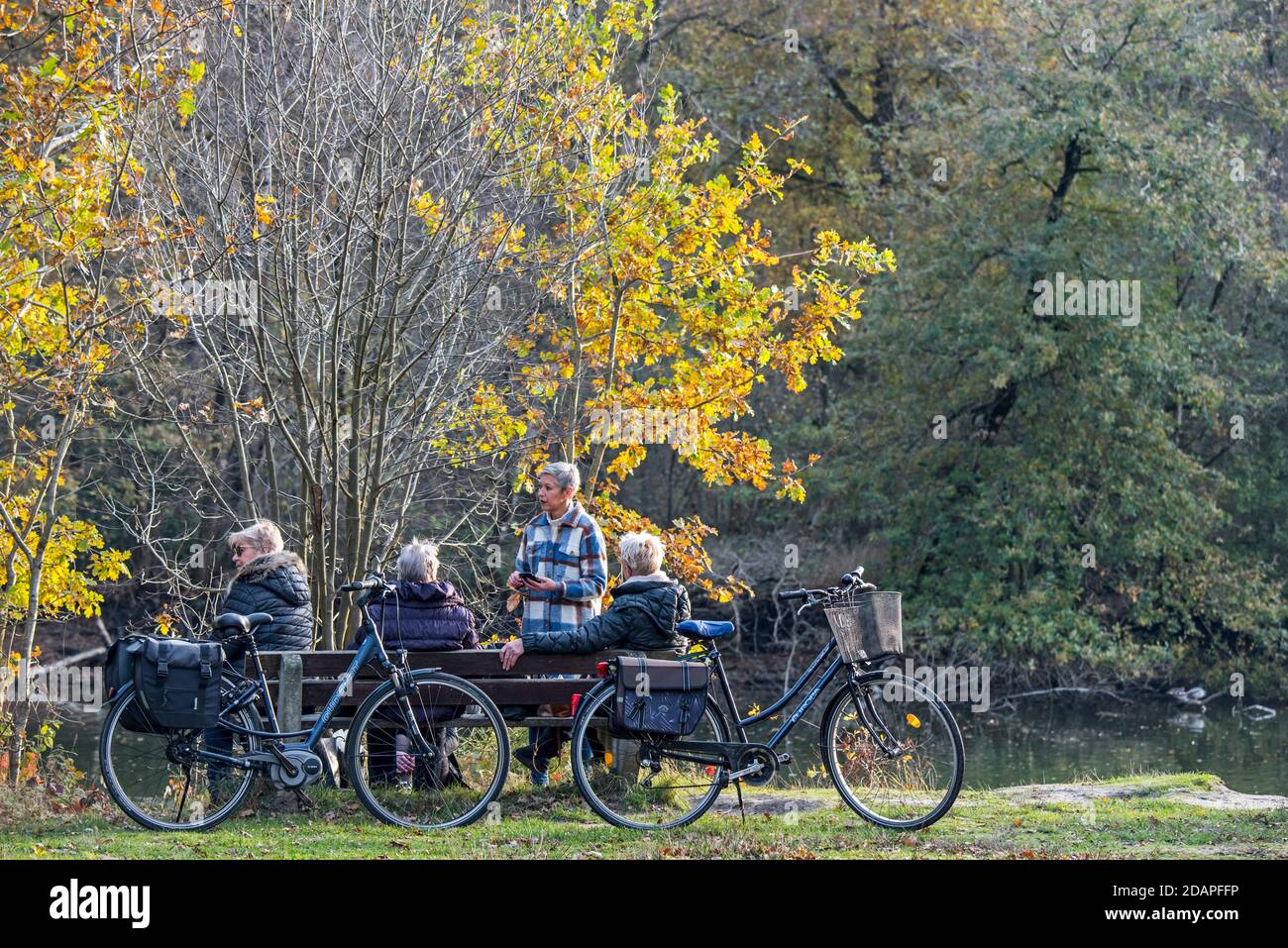 Elderly cyclists resting on park bench along lake in autumn forest Stock Photo