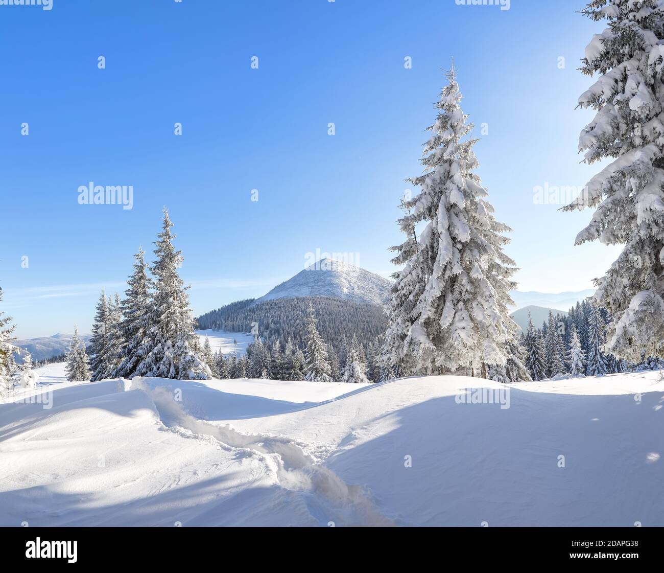 Winter forest. Landscape of high mountains. Trail leading to the trees covered with white snow. Wallpaper background. Location place Carpathian, Ukrai Stock Photo