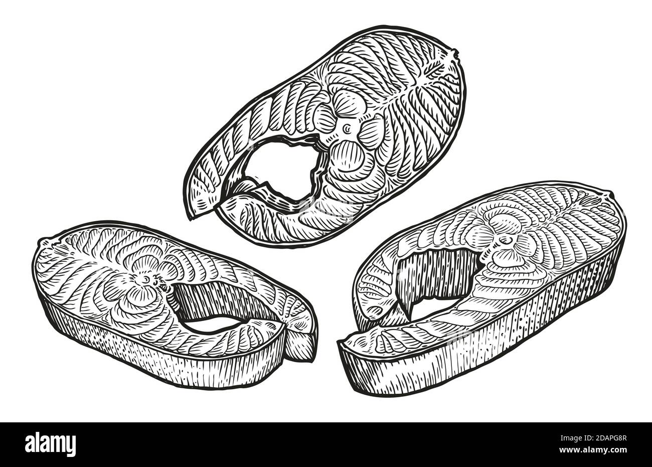 Fish steak sketch. Meat, food concept vector illustration Stock Vector