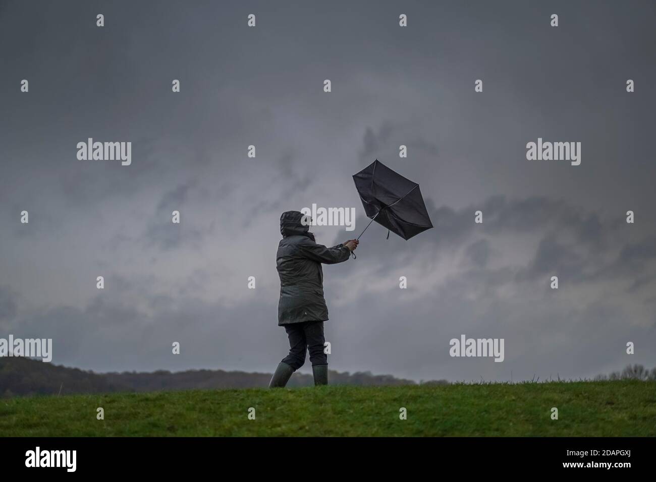 Kidderminster, UK. 14th November, 2020. UK weather very wet and windy