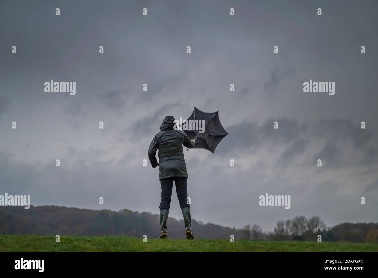 Kidderminster, UK. 14th November, 2020. UK weather very wet and windy