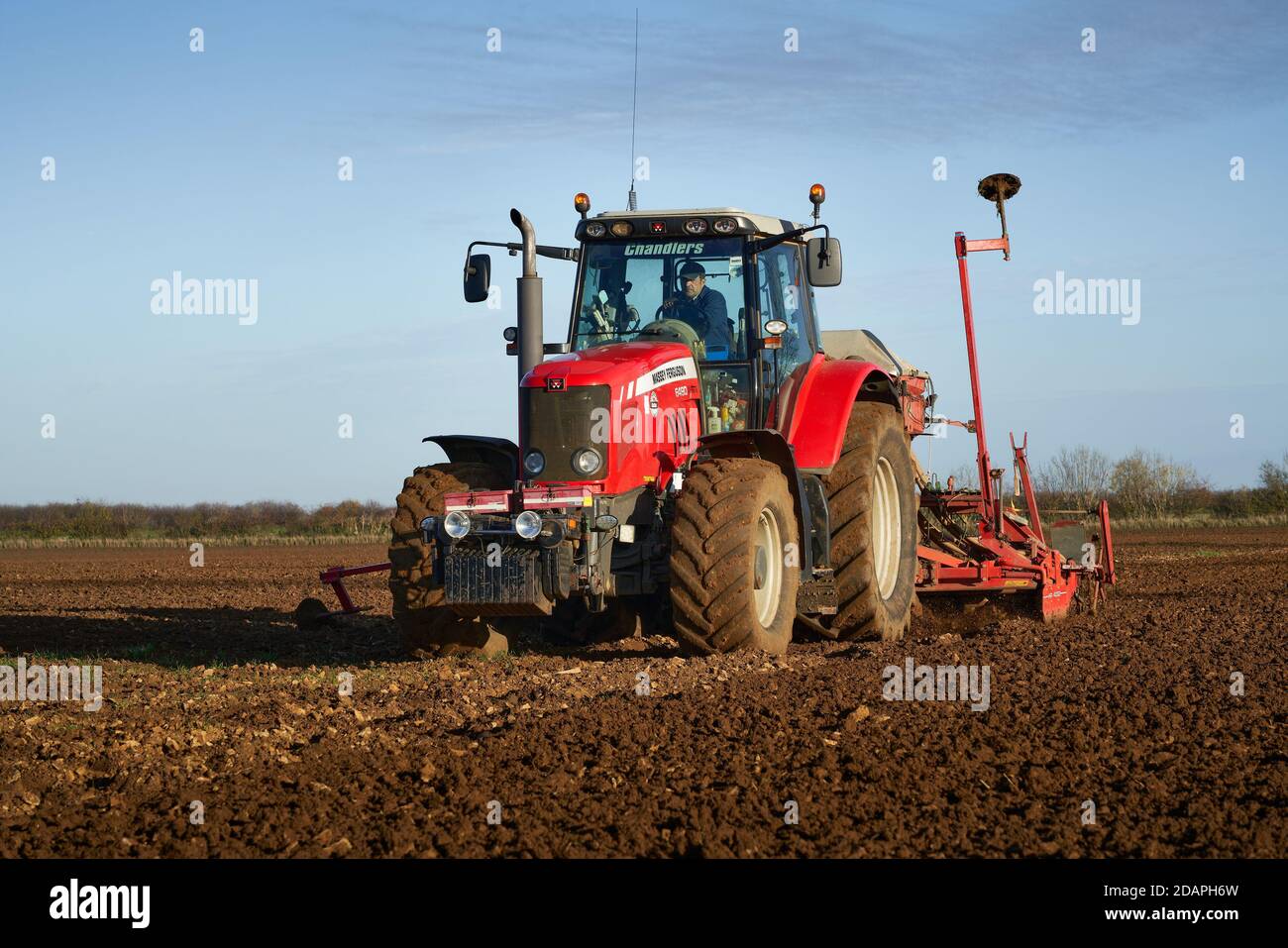 Red Massey Ferguson tractor cultivating field sowing winter cereal crop via power harrow combination drill Stock Photo