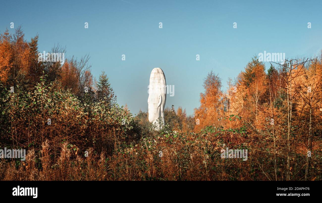 Sutton Manor Woods, home to the Dream Sculpture and previously the home