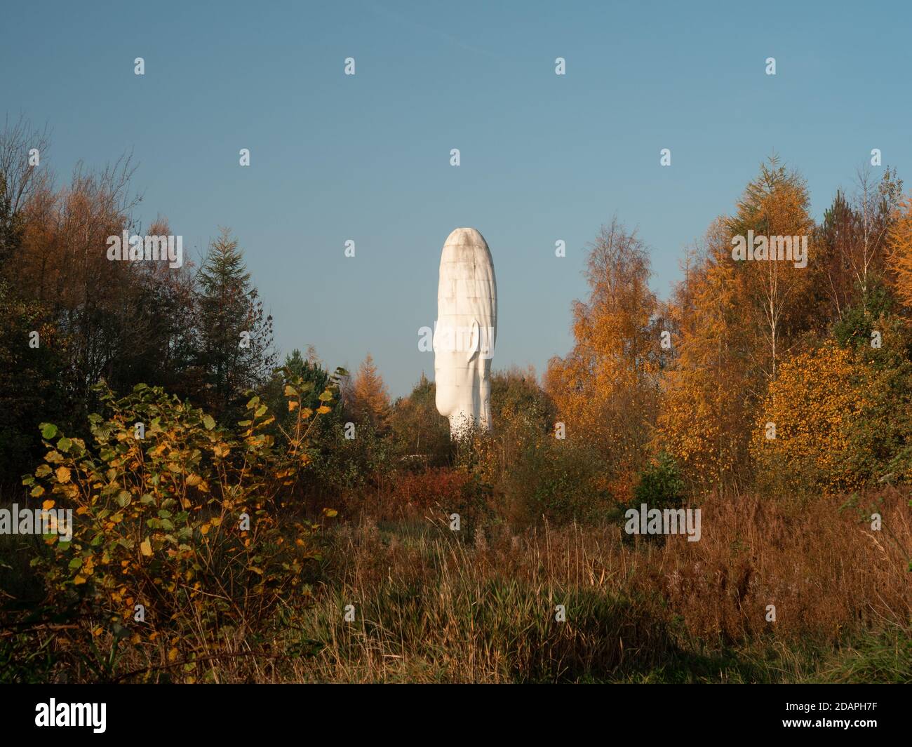 Sutton Manor Woods, home to the Dream Sculpture and previously the home