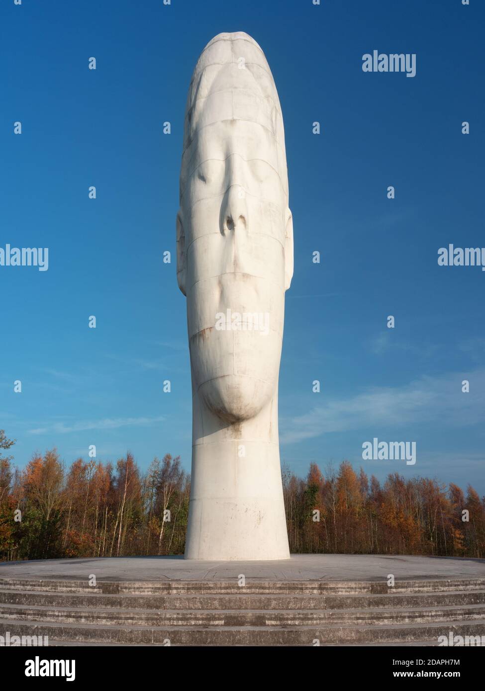 Sutton Manor Woods, home to the Dream Sculpture and previously the home