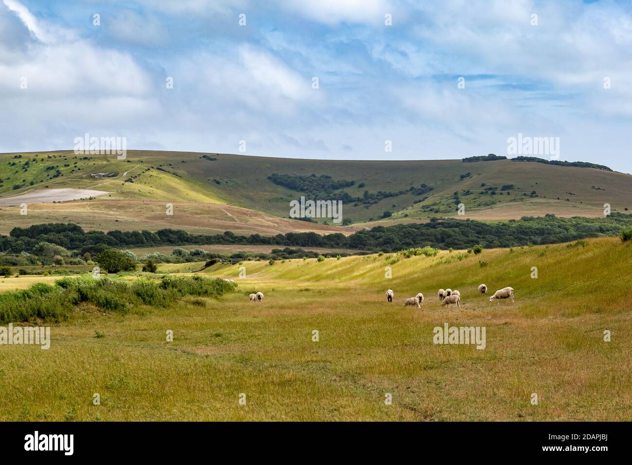 Looking towards Firle Beacon in the Sussex countryside, on a sunny summers day Stock Photo