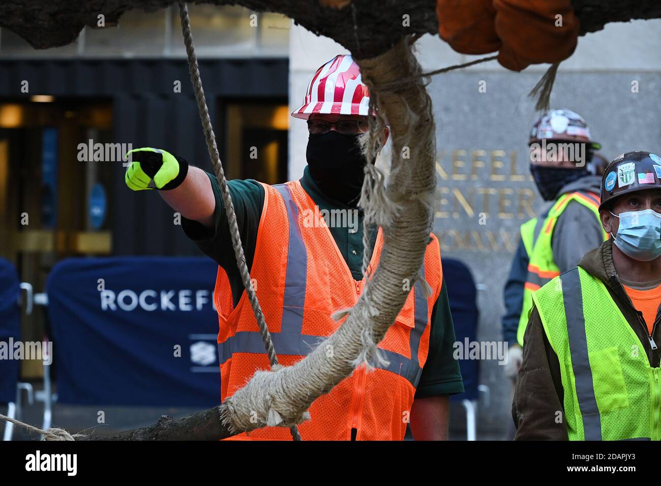 New York City, USA. 14th Nov, 2020. Erik Pauze, head garden at Rockefeller Center, leads riggers in the placement of cable as they prepare to place the 2020 Rockefeller Center Christmas tree onto its platform at Rockefeller Center in New York, NY, November 14, 2020. The 75-foot tall tree is a Norway Spruce that was acquired in Oneonta, N.Y. (Anthony Behar/Sipa USA) Credit: Sipa USA/Alamy Live News Stock Photo