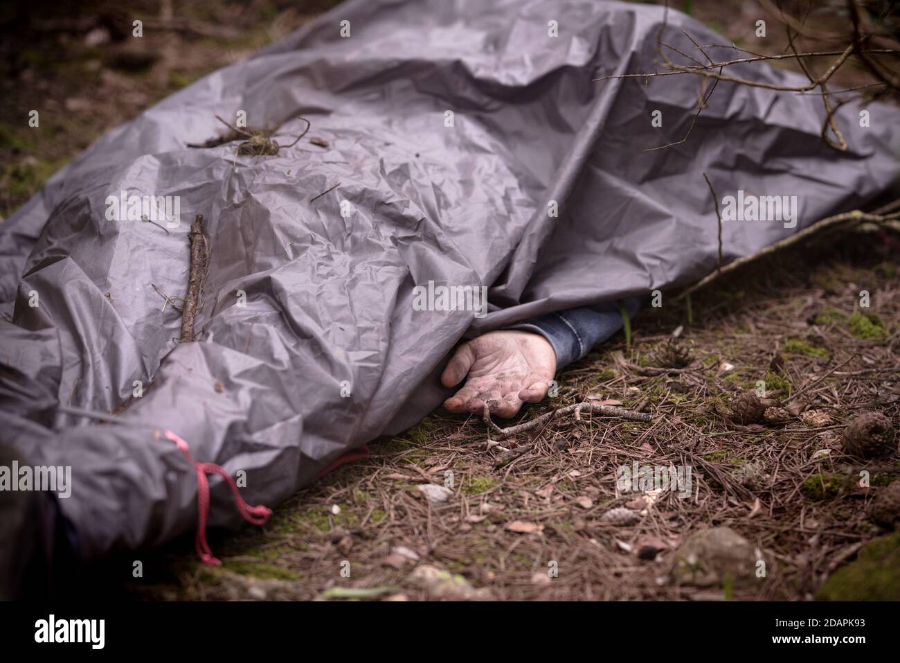 Caucasian man dead body in the woods. Murder in the forest. Found a dead body in the park. Stock Photo