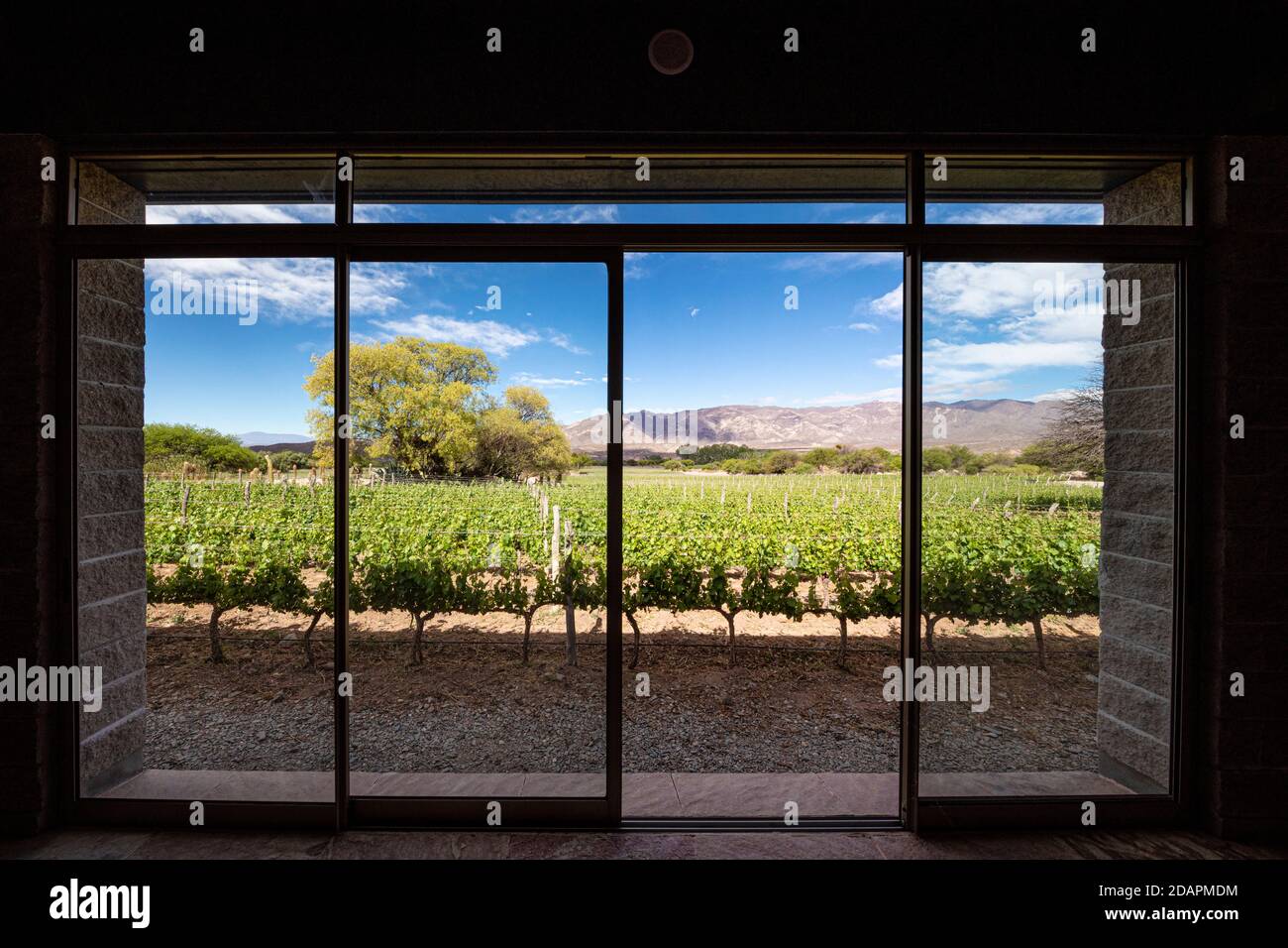 Bodega Colomé, a winery located in high Calchaquí valley at 2,300 meters above sea level, Salta Province, Argentina Stock Photo