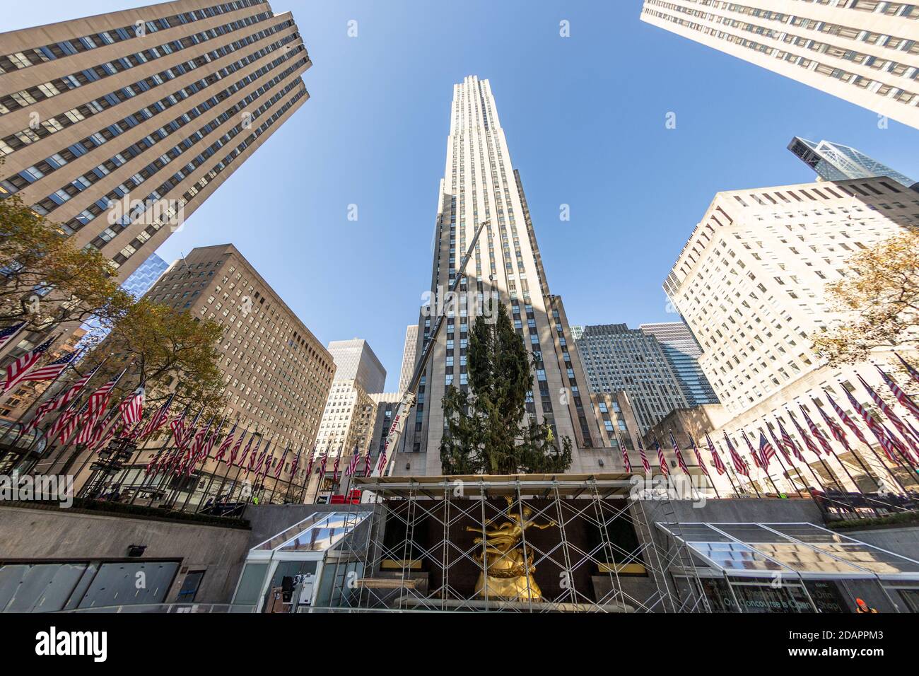 Curated visual reference: Gallery Detail: New York Ny November 14 2020 2020 75 Foot Rockefeller