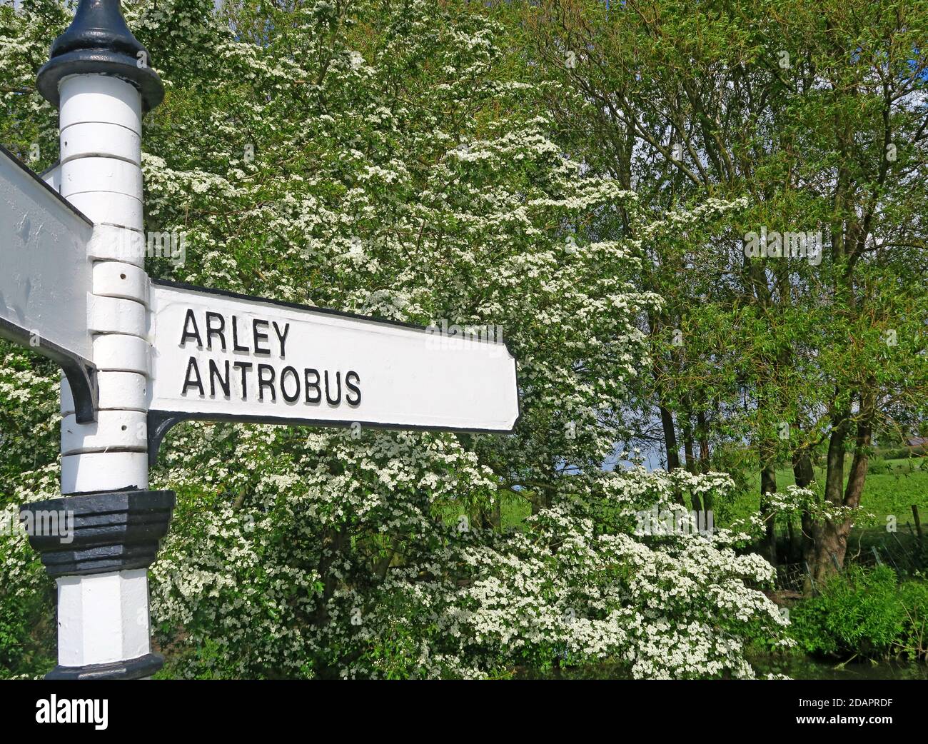 Countryside fingerpost, Arley, Antrobus,villages,Cheshire,England,UK Stock Photo