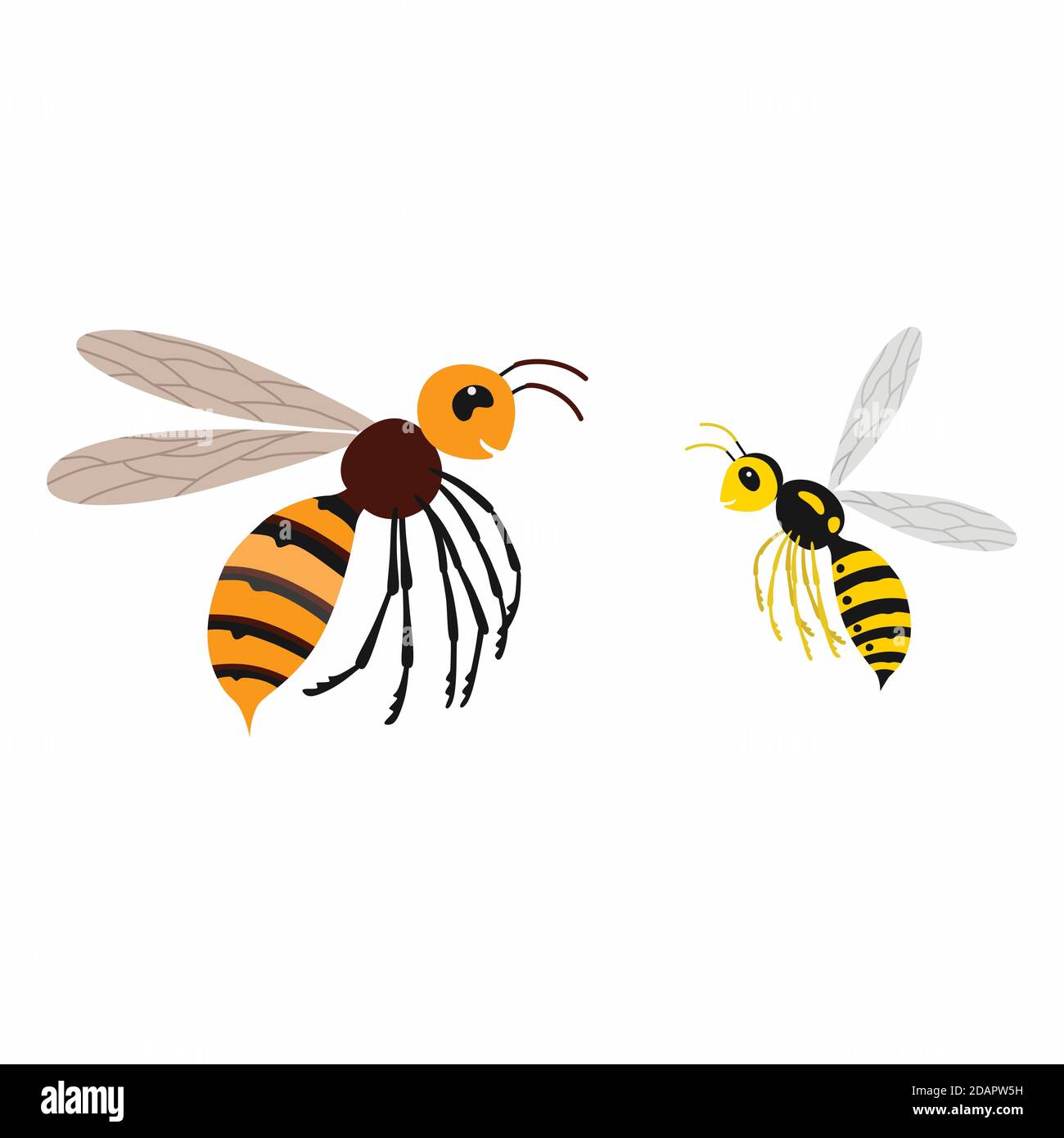 Hornet and wasp, differences. Vector illustration isolate. Stock Vector