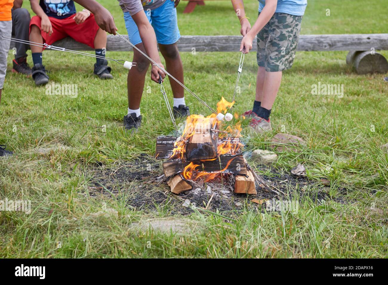 roasting marshmallows over open camp fire Stock Photo