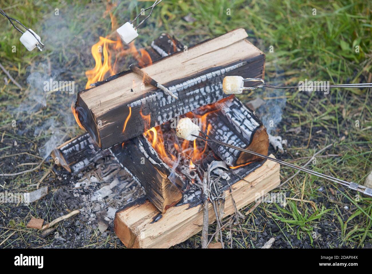 roasting marshmallows over open camp fire Stock Photo
