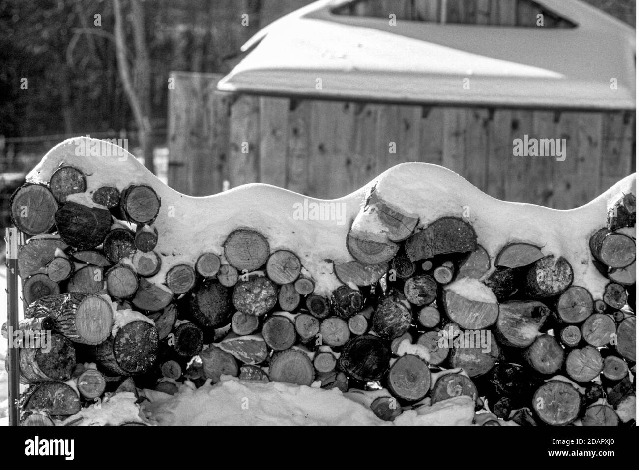 Firewood cut and ready to use in the wood stove Stock Photo