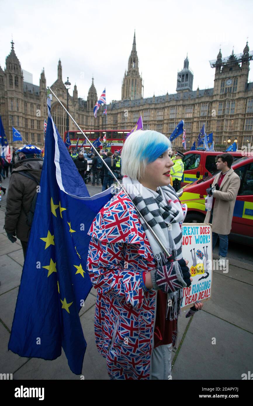 GREAT BRITAIN / England / London / Young female anti brexit protester outside the Houses of Parliament on the 29th January 2019 in London, United Stock Photo