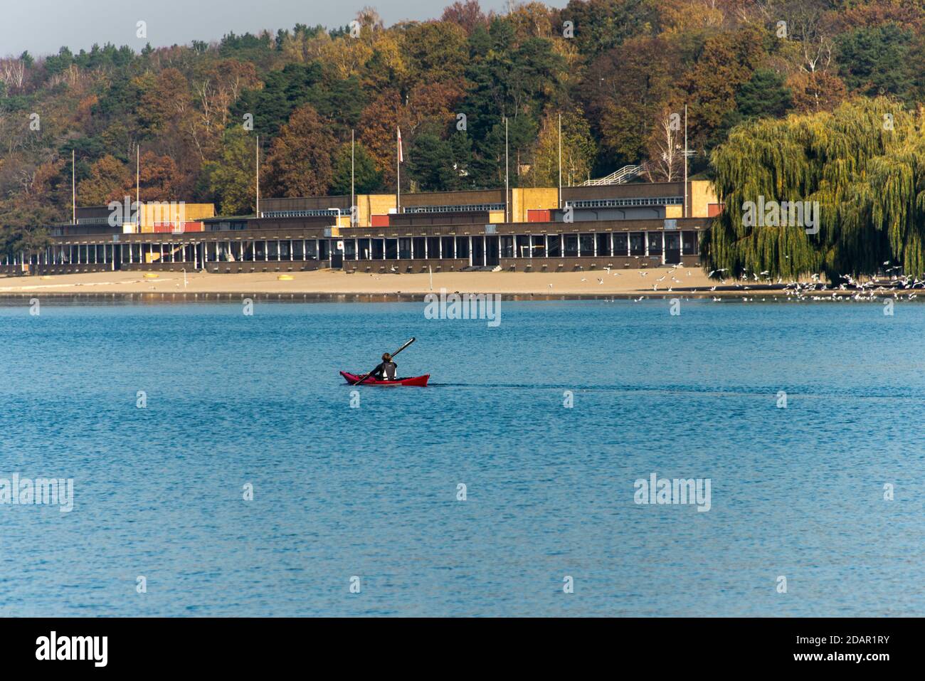 Autumn sports in Berlin: A lone kayaker paddling along in front of  Wannsee lido Stock Photo