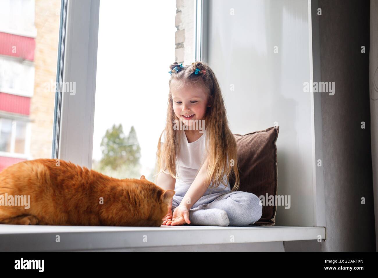 Child playing with cat on window at home Stock Photo