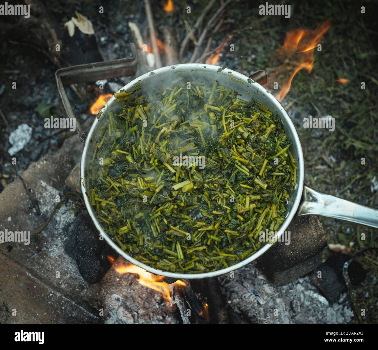 Wild vegetables in a pot around the campfire of a family of refugees in the camp Idomeni, Greece Stock Photo