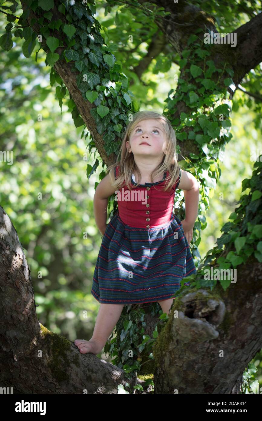 Girl, climbing a tree, Schliersee, Bavaria, Germany Stock Photo