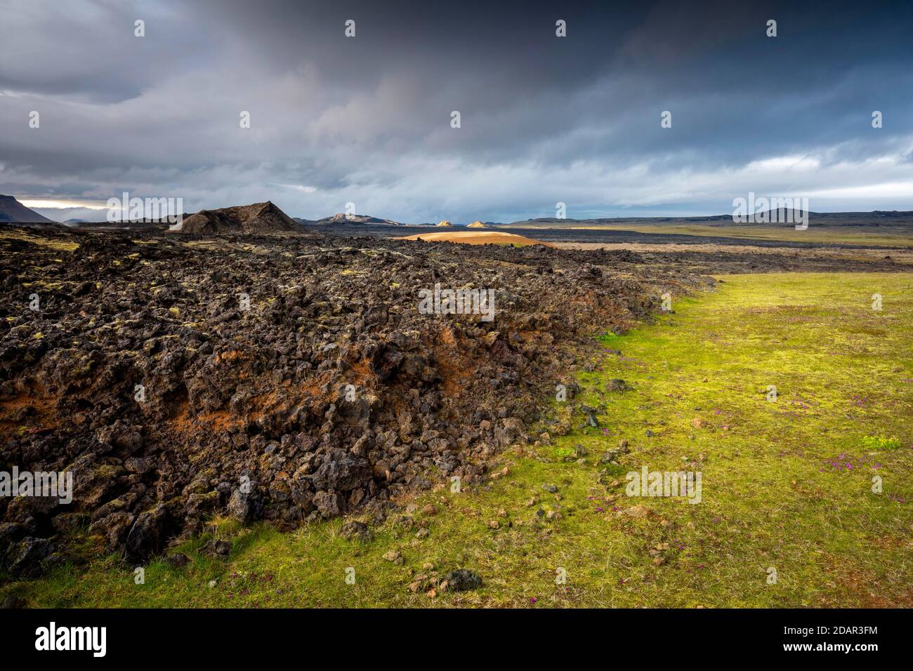 Black solidified lava borders on lush green grass with dramatic clouds in Leihrnjukur in Krafla, Skutustaoir, Norourland eystra, Iceland Stock Photo