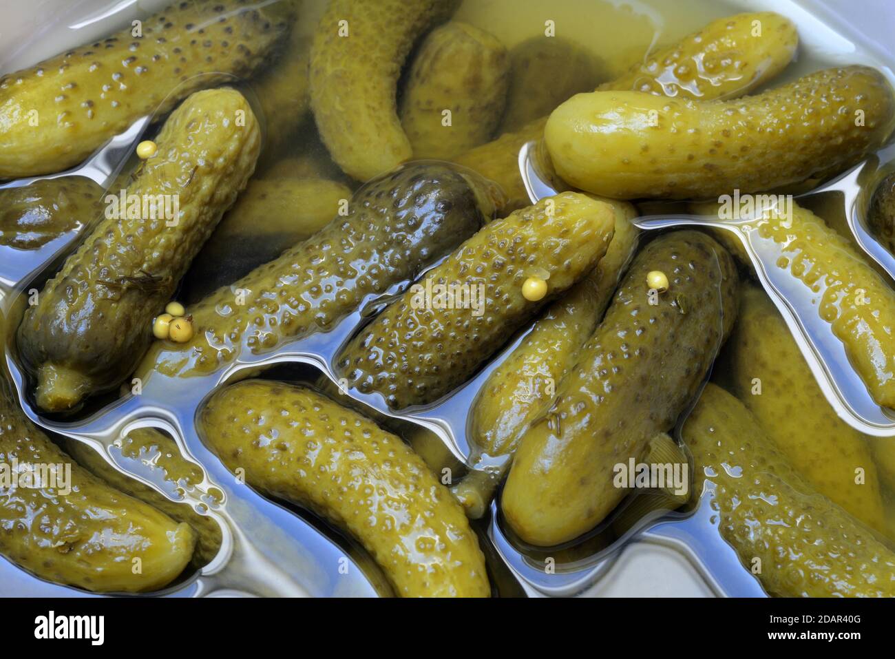 Cornichons, pickled gherkins, Germany Stock Photo Alamy